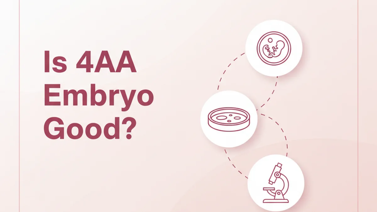 4AA Embryo Success Rate: Clinical Answer