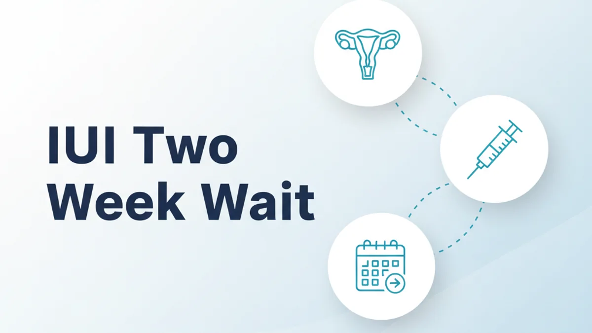 Two Week Wait After IUI: What To Expect