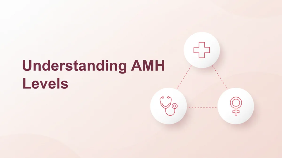 AMH Levels Explained