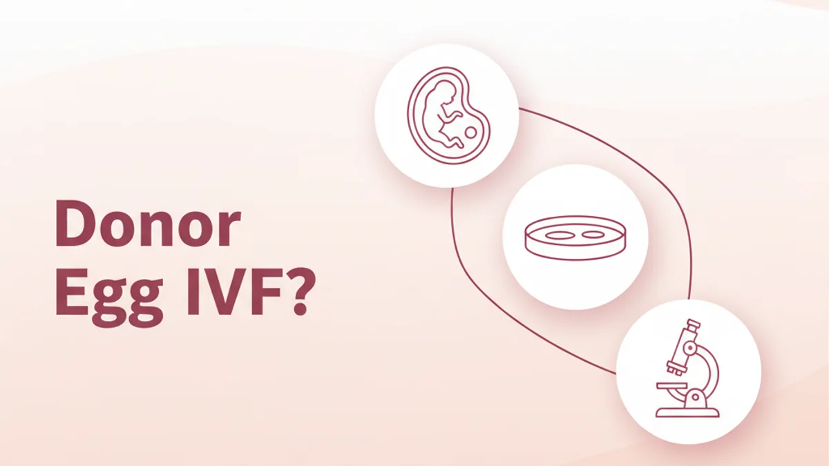Donor Egg IVF: Is It Right For You?