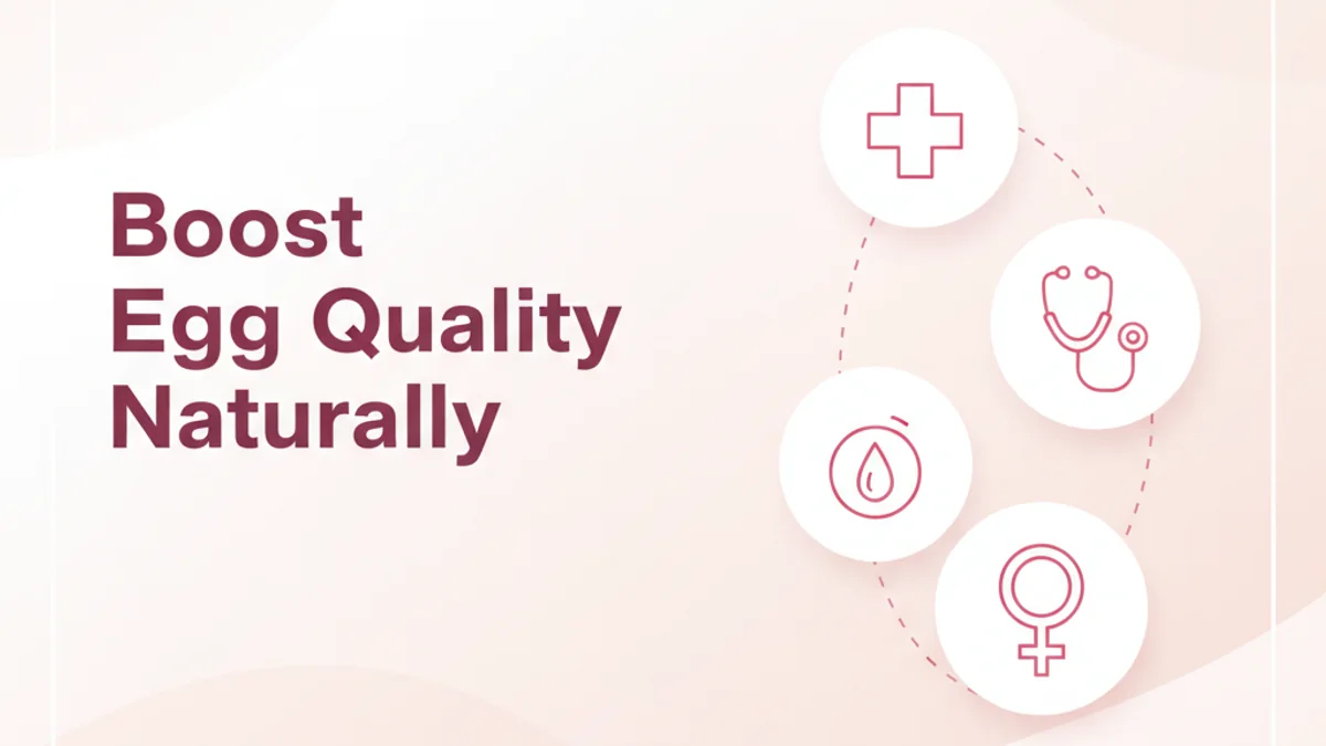 Improve Egg Quality for Fertility