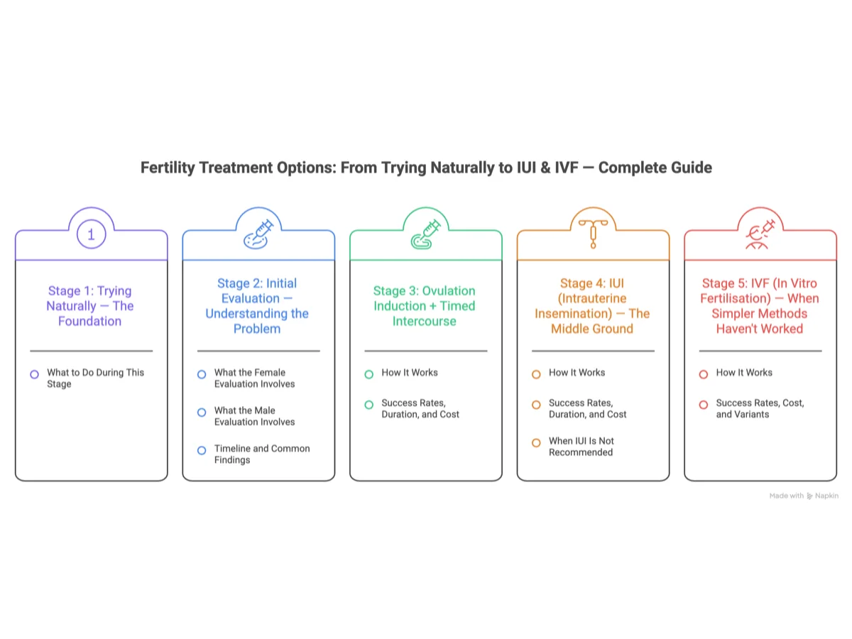 Fertility treatment journey overview — 5 stages from trying naturally to IVF, showing the progression through initial evaluation, ovulation induction, IUI, and IVF