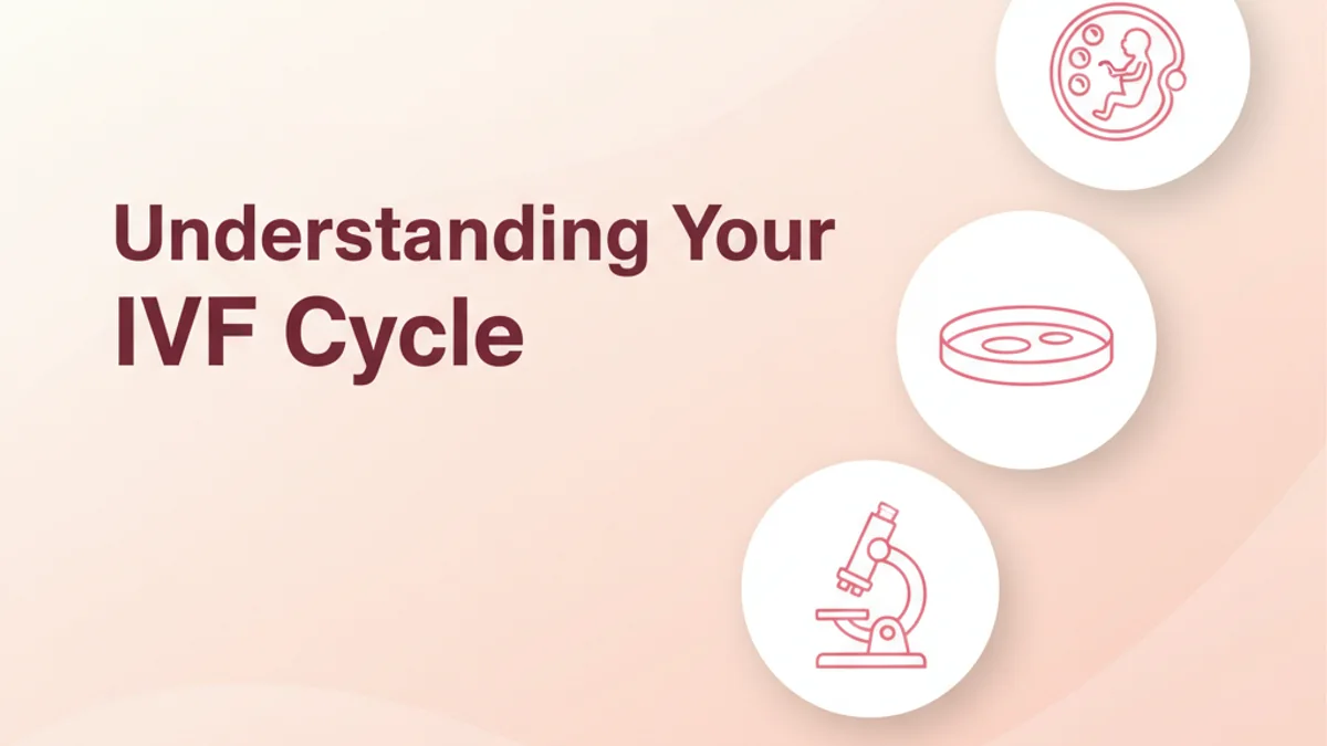 IVF Cycle: What to Expect