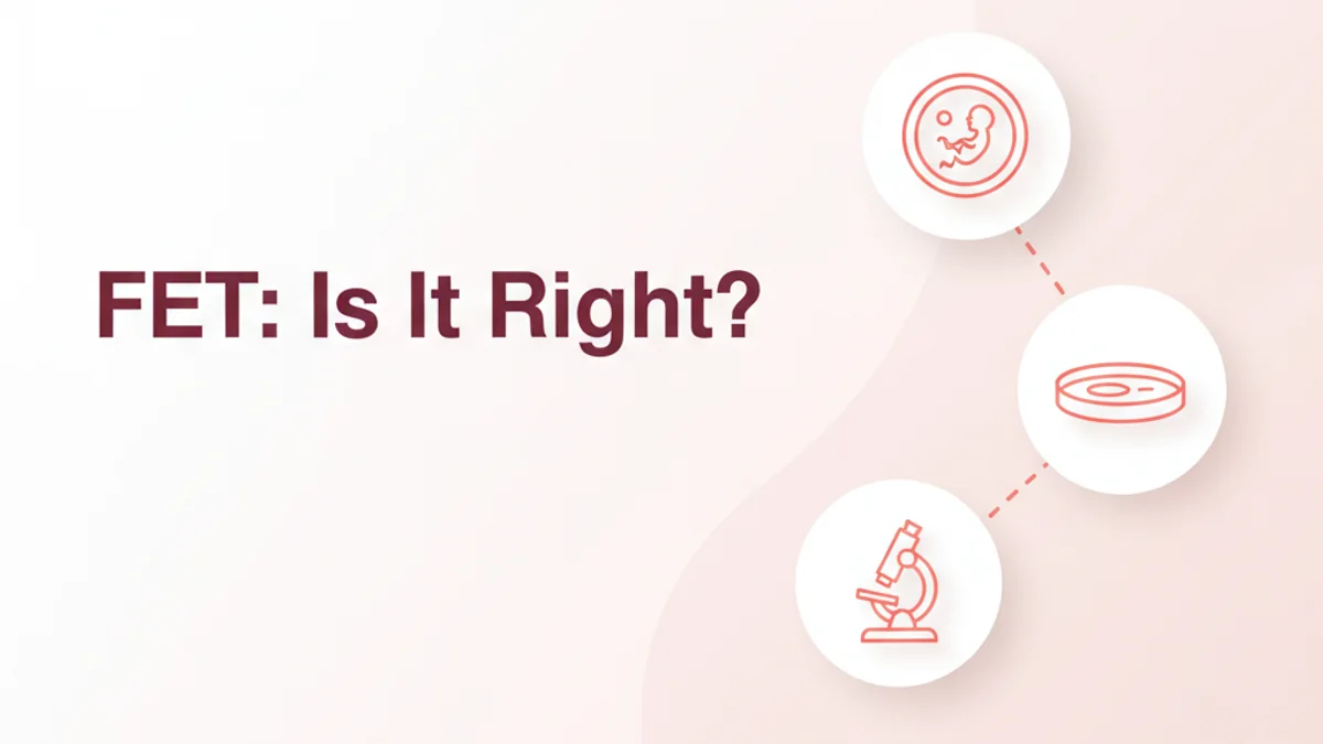 Frozen Embryo Transfer (FET) Explained