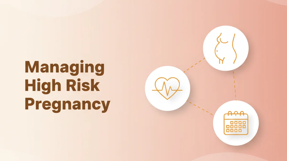 Navigating High Risk Pregnancy