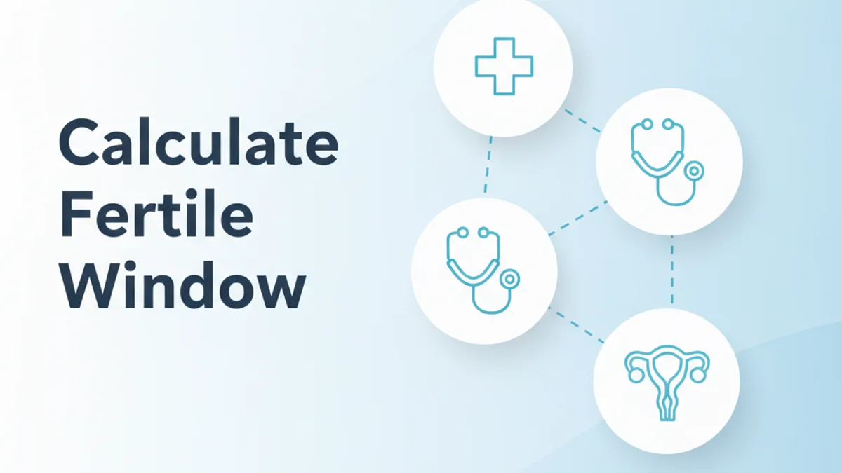 How to Calculate Your Fertile Window Accurately