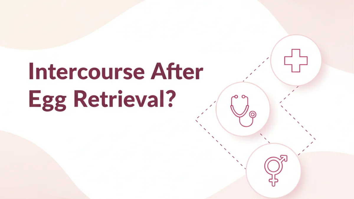 Intercourse After Egg Retrieval: When Is It Safe?