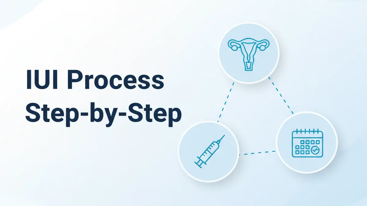 IUI Treatment Process Explained