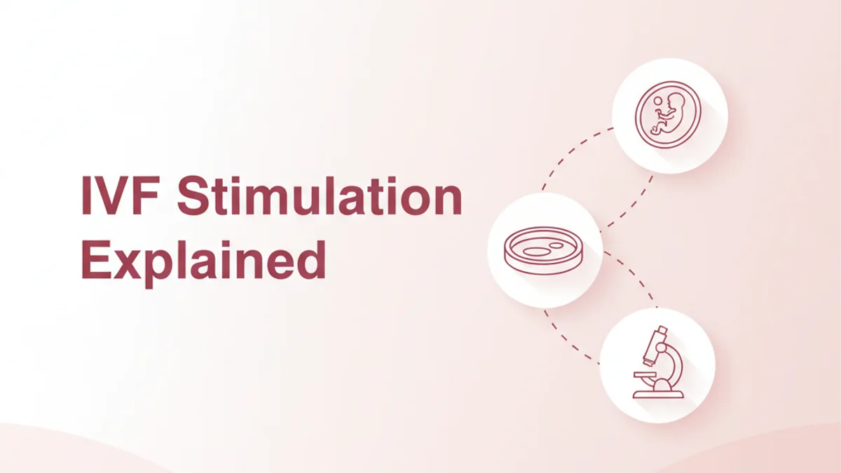 IVF Stimulation Protocol: What to Expect