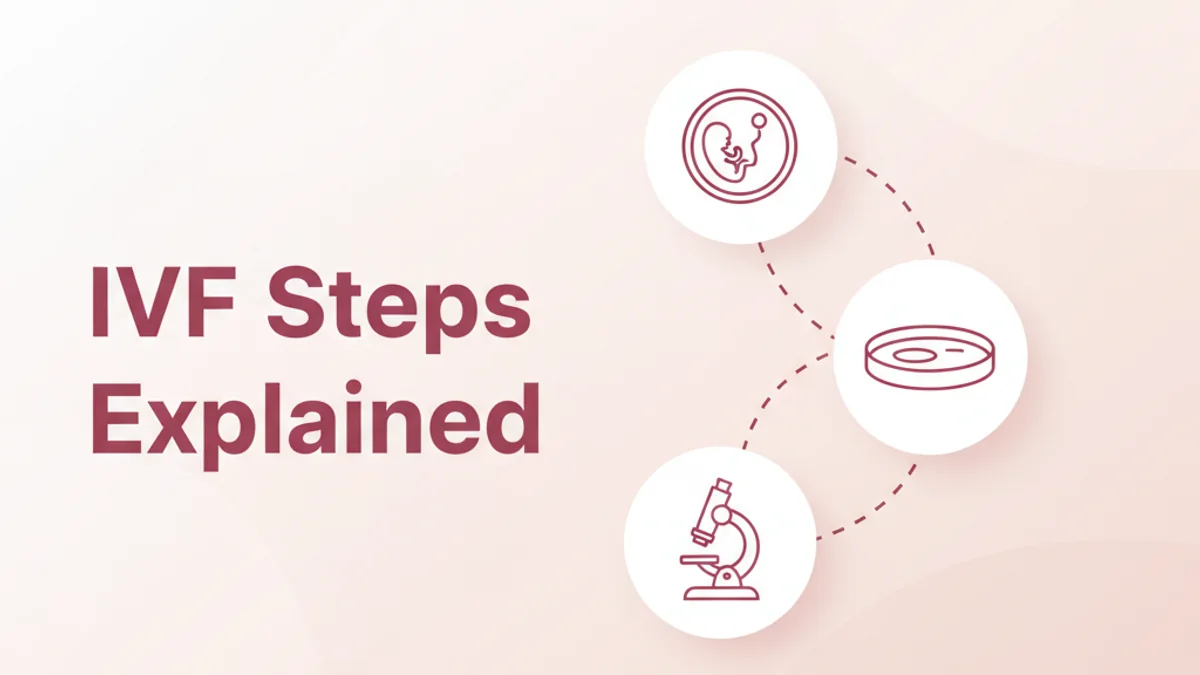 IVF Step by Step: A Clear Overview