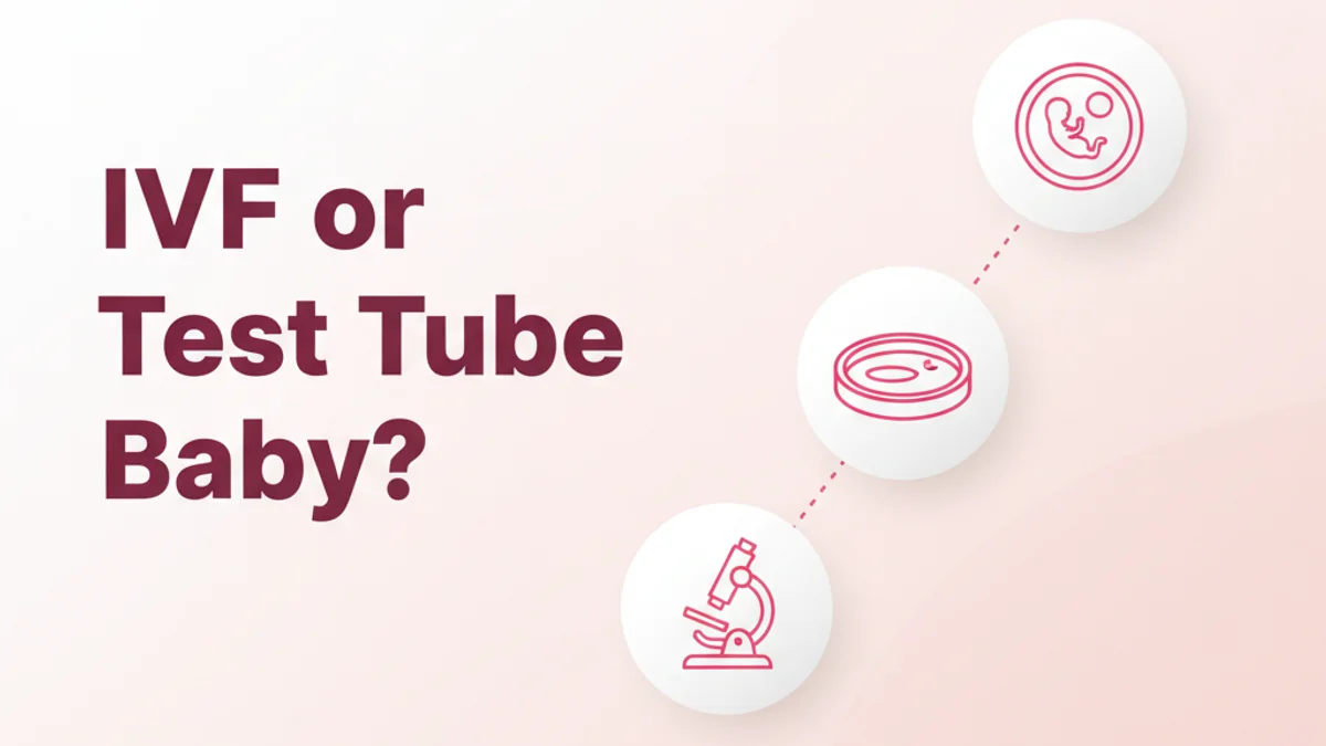 IVF vs Test Tube Baby: Are They The Same?