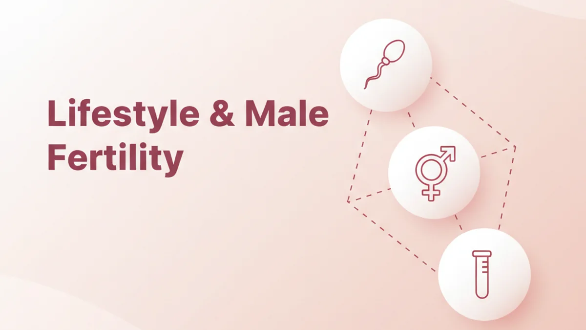 Lifestyle Factors Affecting Male Fertility