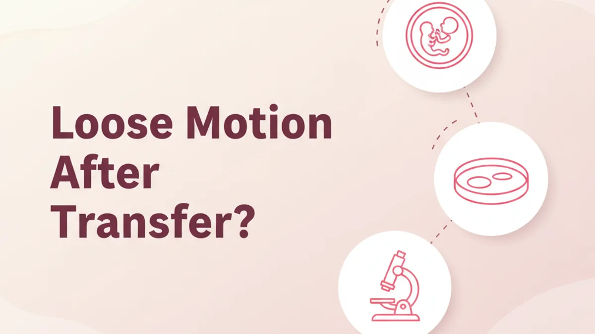 Loose Motion After Embryo Transfer