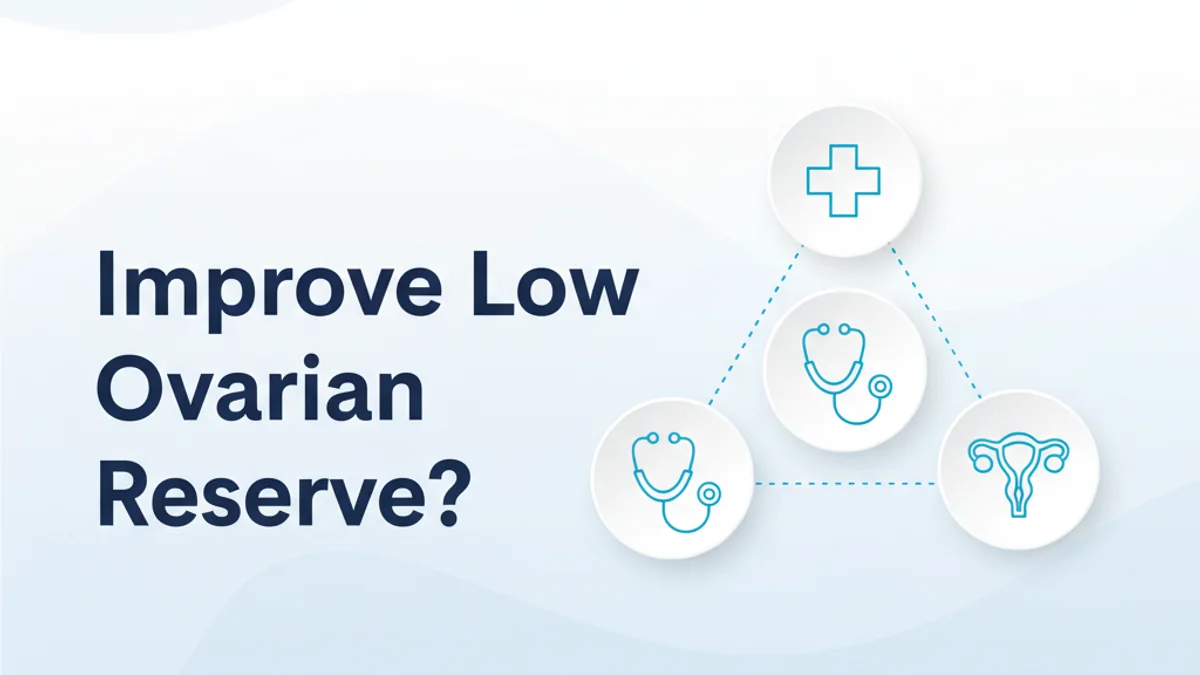 Low Ovarian Reserve Treatment Options