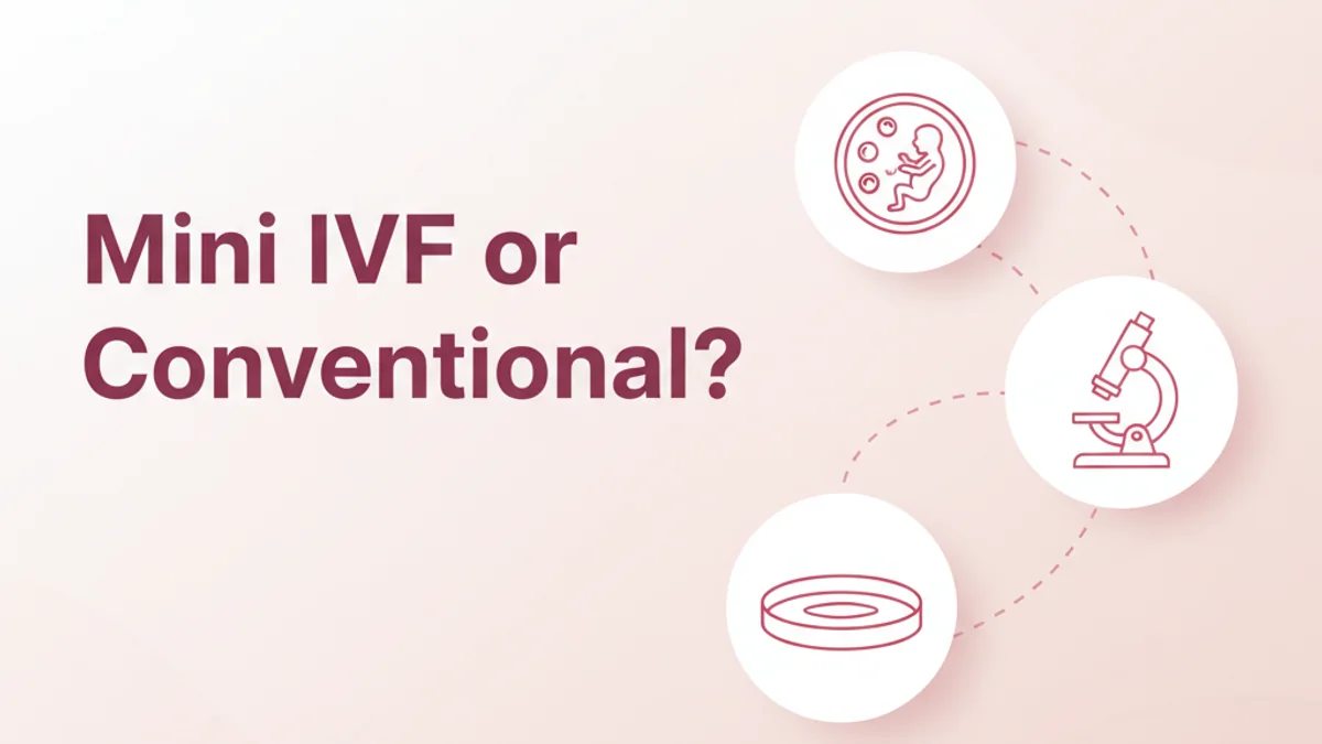 Mini IVF vs Conventional IVF: Which Is Best?