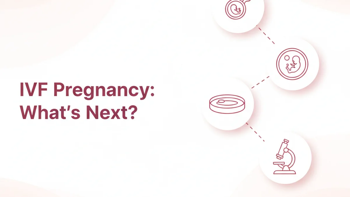 Pregnancy After IVF: What to Expect