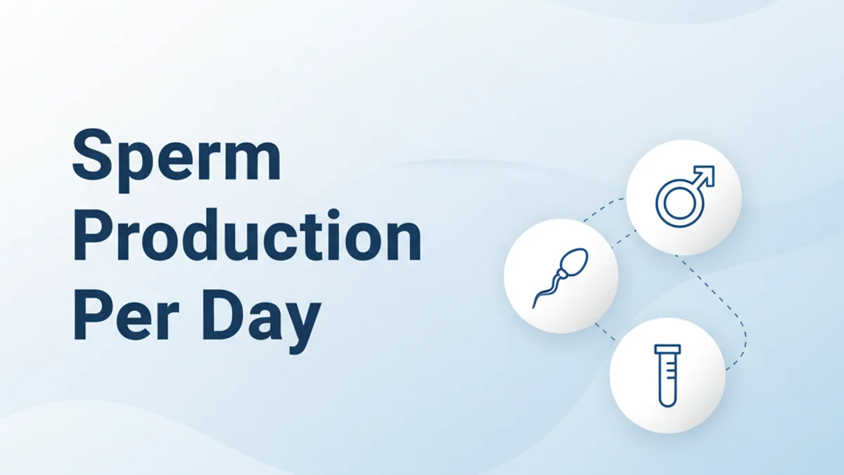 Sperm Production Daily: What's Normal?